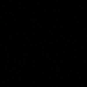 Meet your Posher, Adassa